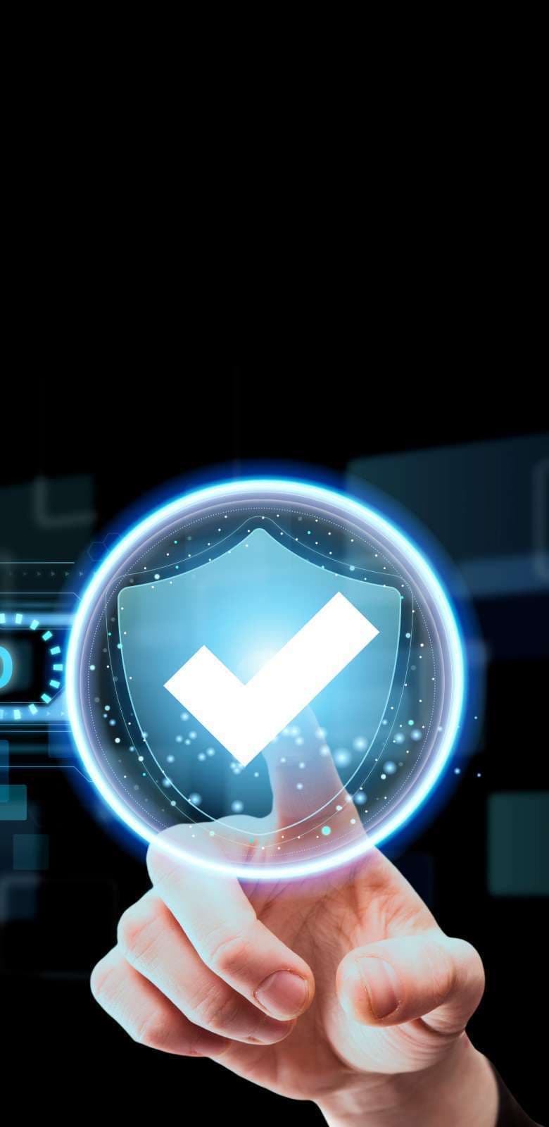 Organisation validated Mob