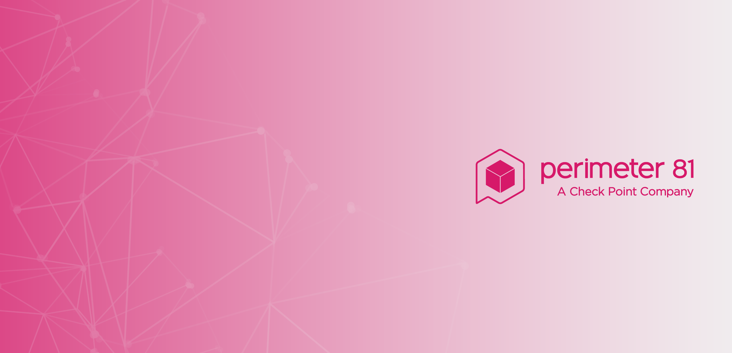 perimeter81 Desktop Banner Image